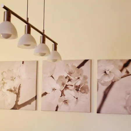 Cozy In Center Epicenter! Appartement