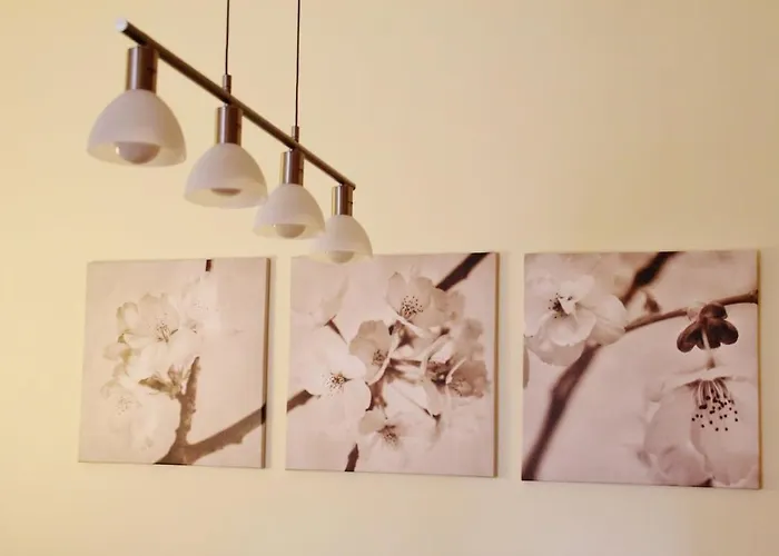 Cozy In Center Epicenter! Appartamento